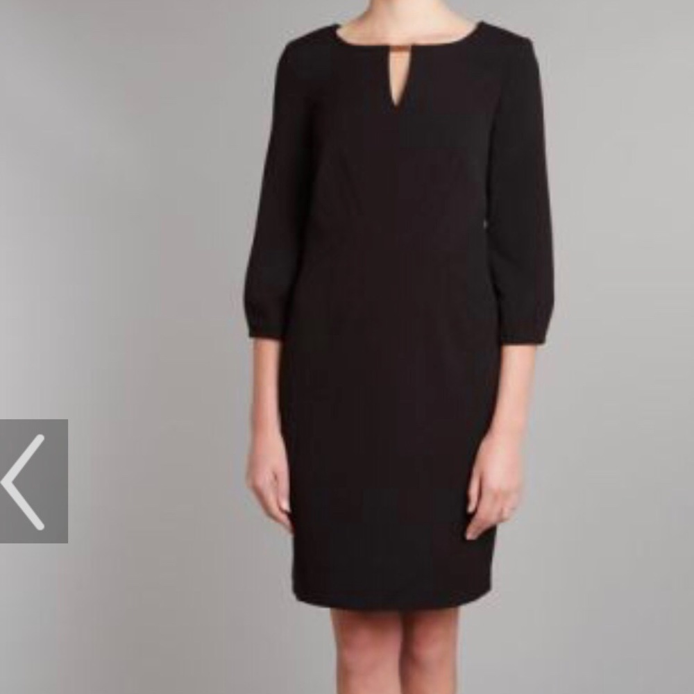 Adrianna Papell sheath eyelet dress